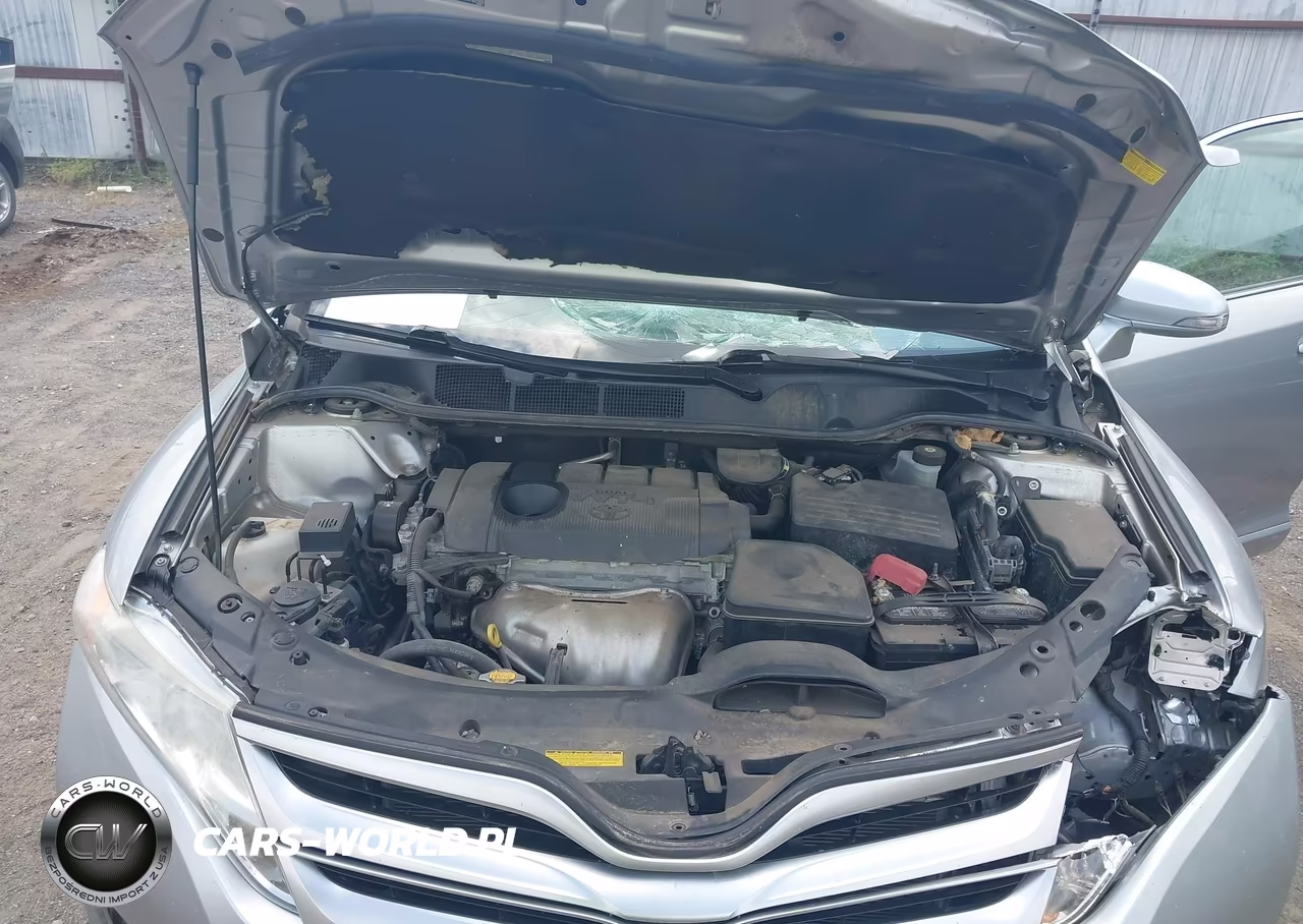 2015 Toyota Venza Le VIN:4T3ZA3BBXFU091688 - 10