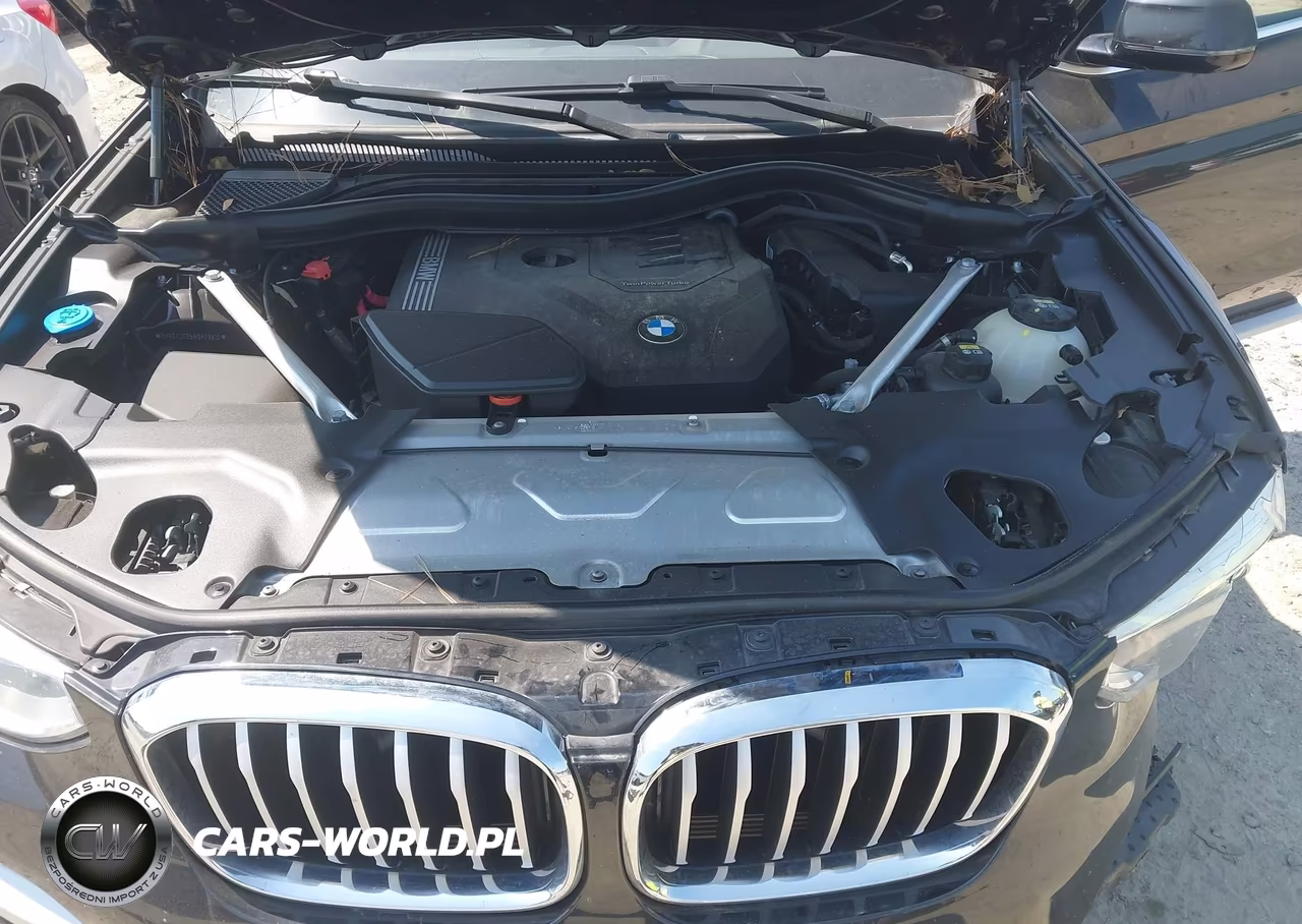 2021 BMW X3 Sdrive30I VIN:5UXTY3C05M9H28810 - 10