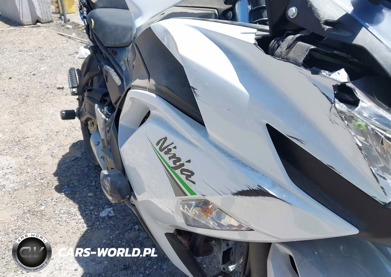 2020 Kawasaki Ex650 M VIN:ML5EXEM10LDA03914 - 15