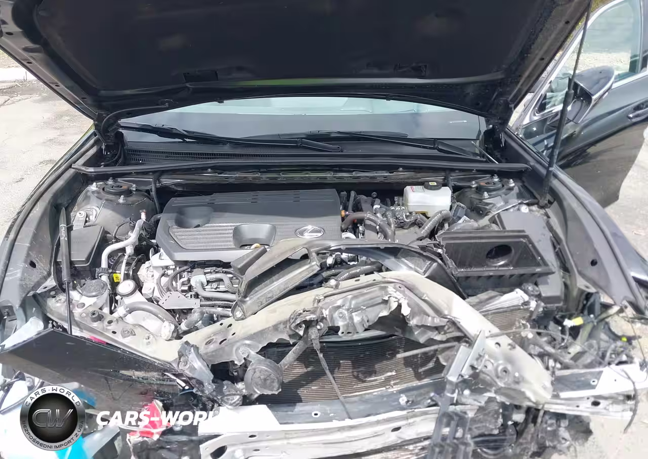 2024 Lexus Es 300H VIN:58ADA1C11RU037870 - 10