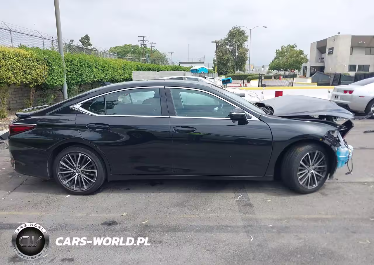 2024 Lexus Es 300H VIN:58ADA1C11RU037870 - 14