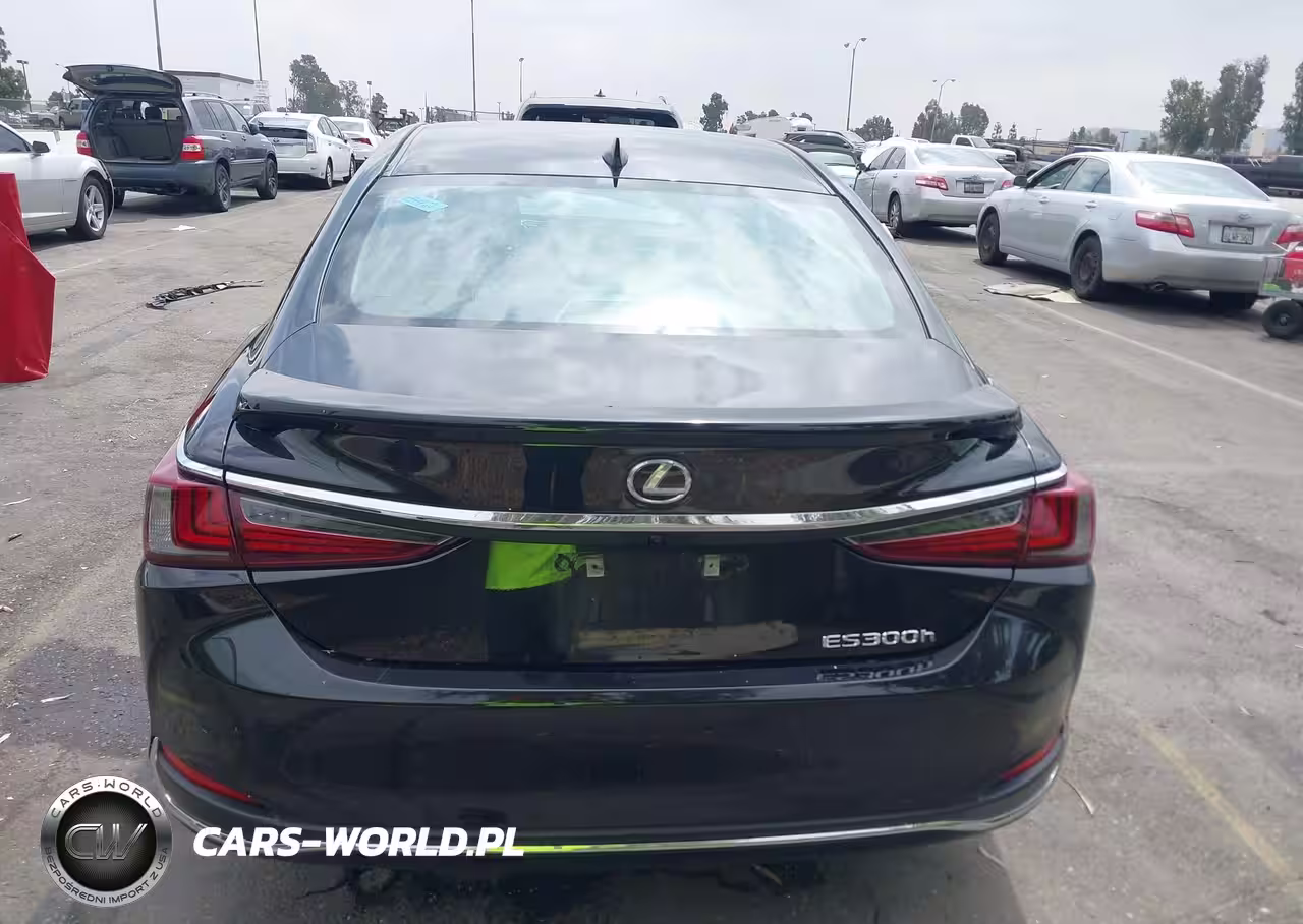 2024 Lexus Es 300H VIN:58ADA1C11RU037870 - 17