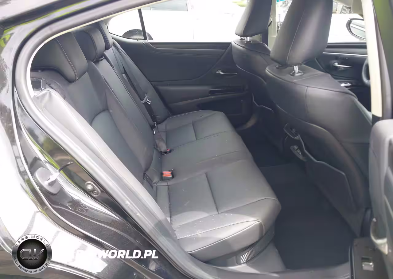 2024 Lexus Es 300H VIN:58ADA1C11RU037870 - 8