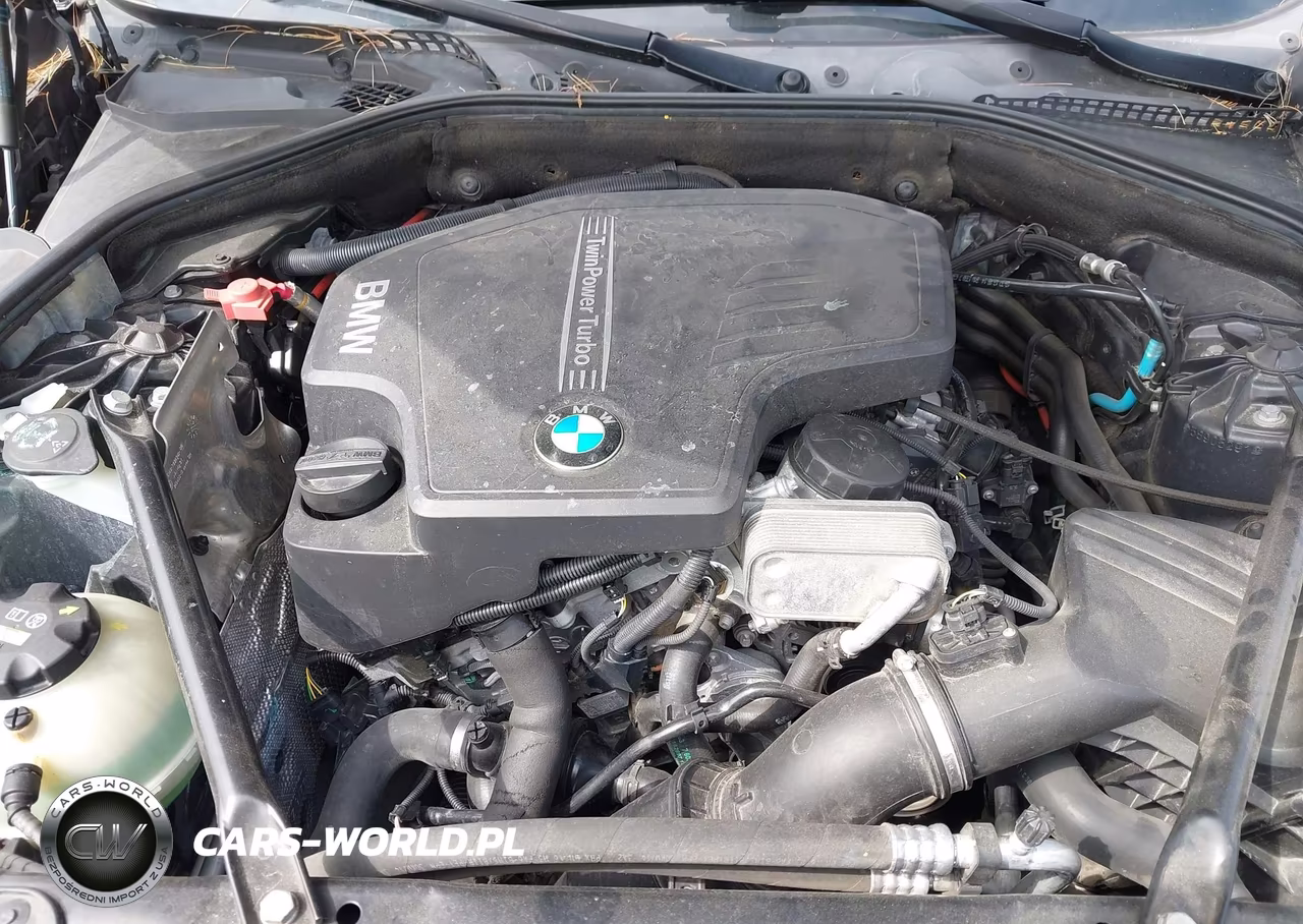 2015 BMW 528I VIN:WBA5A5C54FD514990 - 10