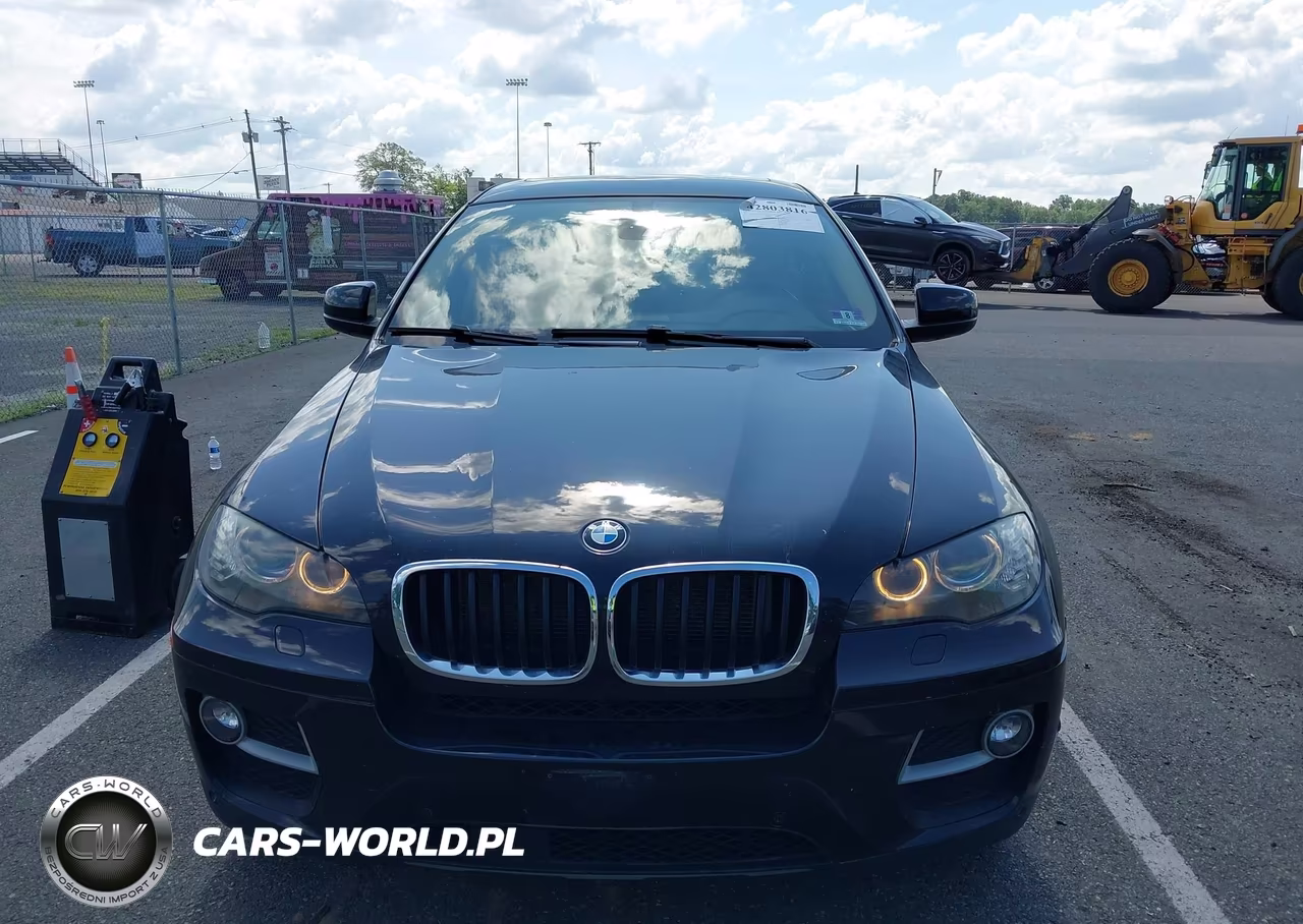 2013 BMW X6 xDrive35I VIN:5UXFG2C52DL784175 - 12