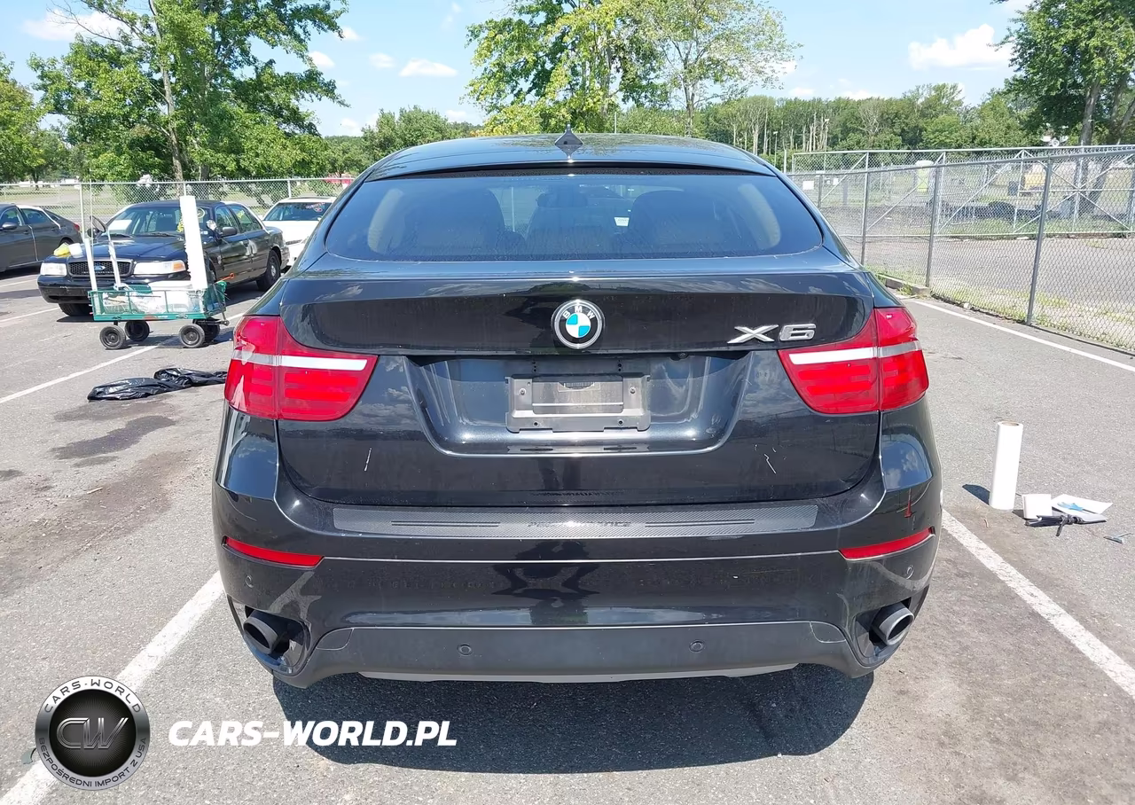 2013 BMW X6 xDrive35I VIN:5UXFG2C52DL784175 - 16