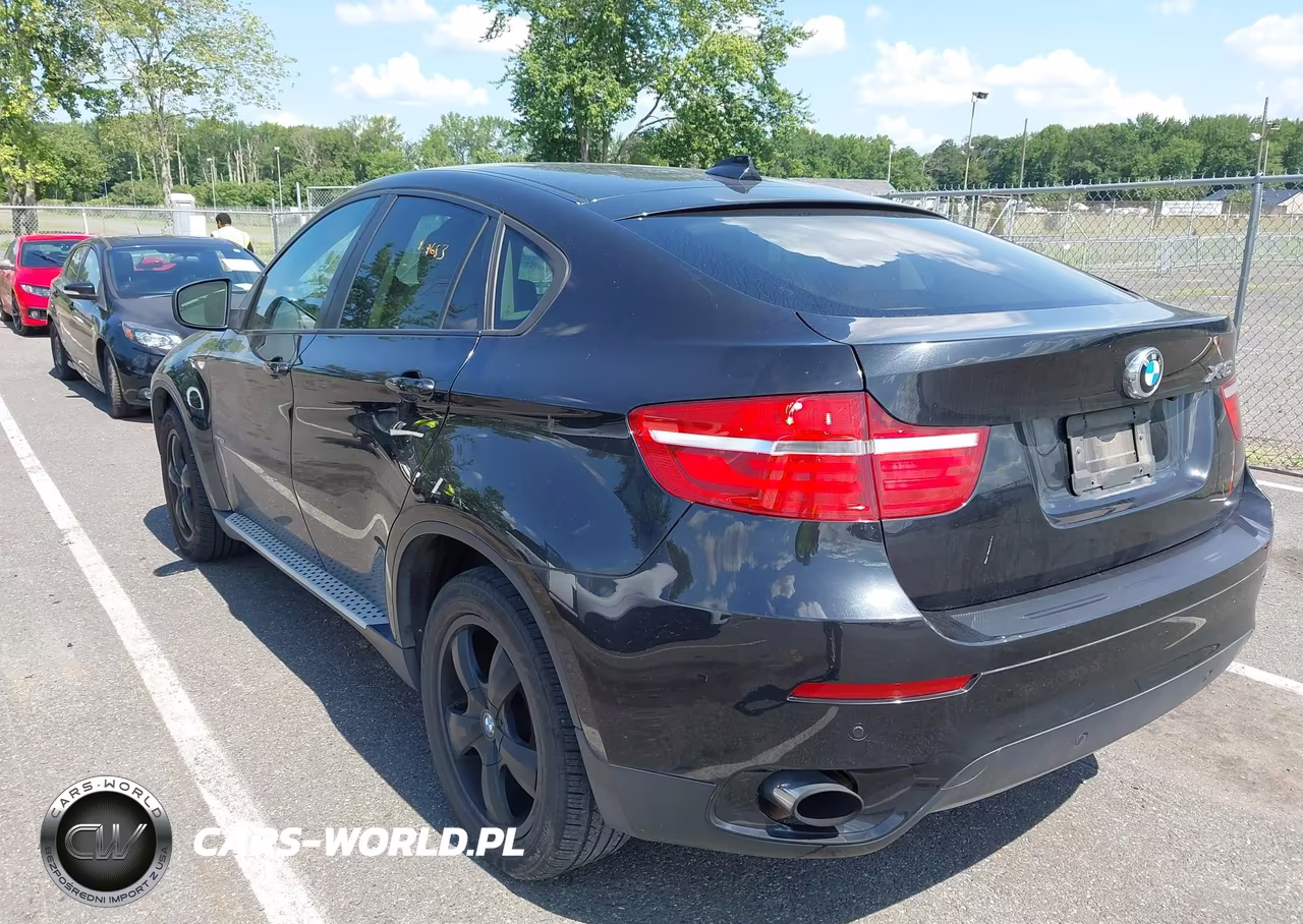 2013 BMW X6 xDrive35I VIN:5UXFG2C52DL784175 - 3