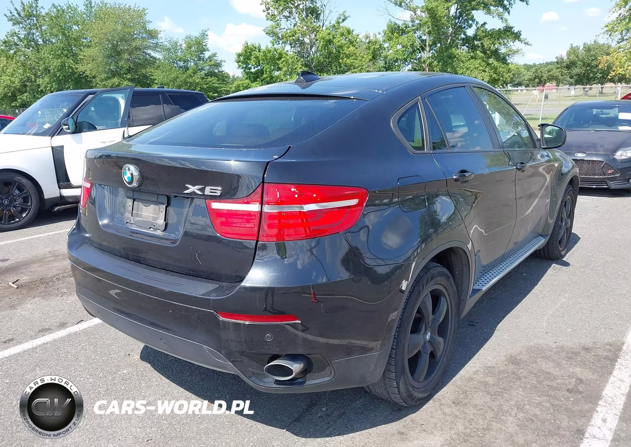2013 BMW X6 xDrive35I VIN:5UXFG2C52DL784175 - 4