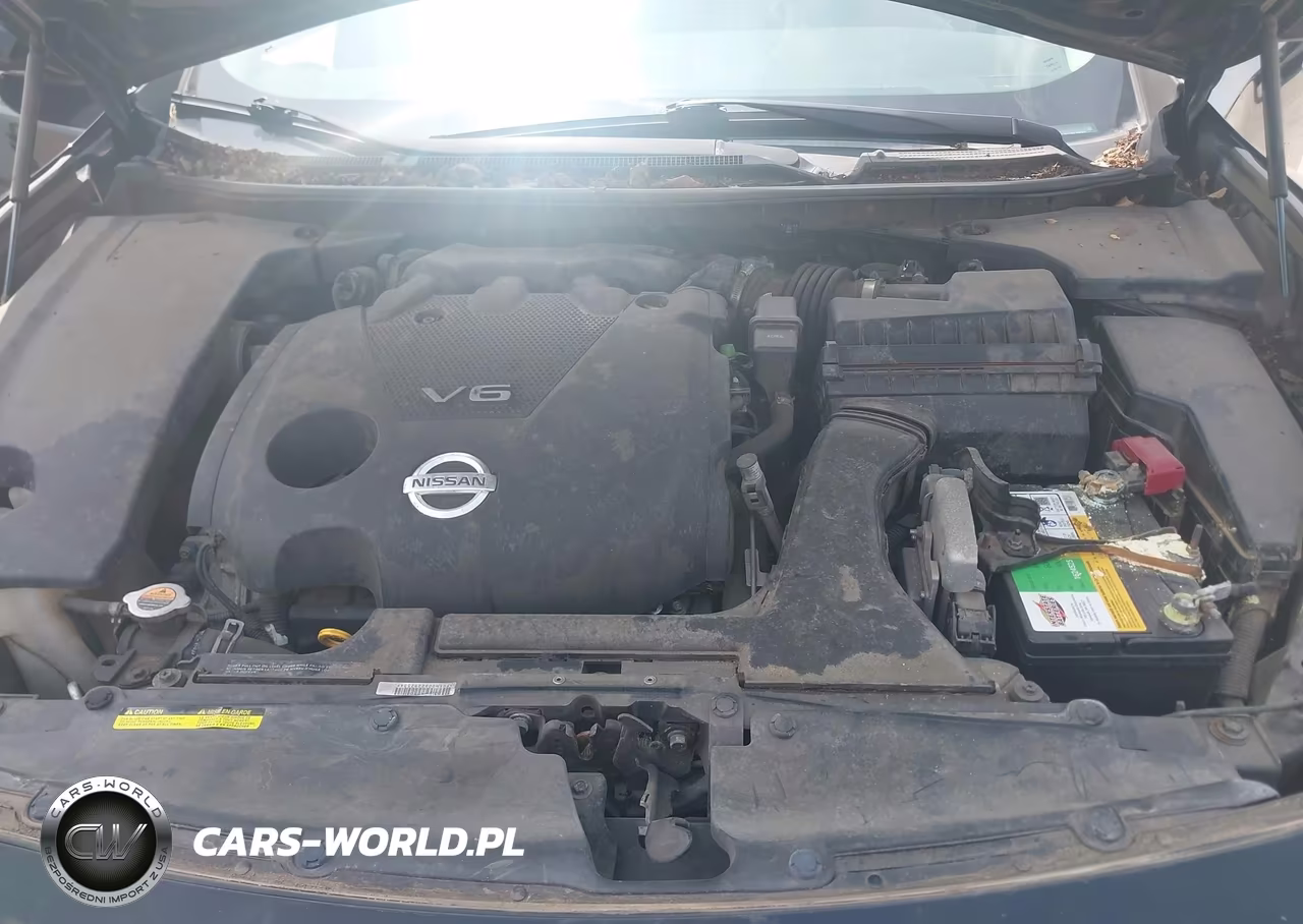 2009 Nissan Maxima 3.5 Sv VIN:1N4AA51E49C806207 - 10