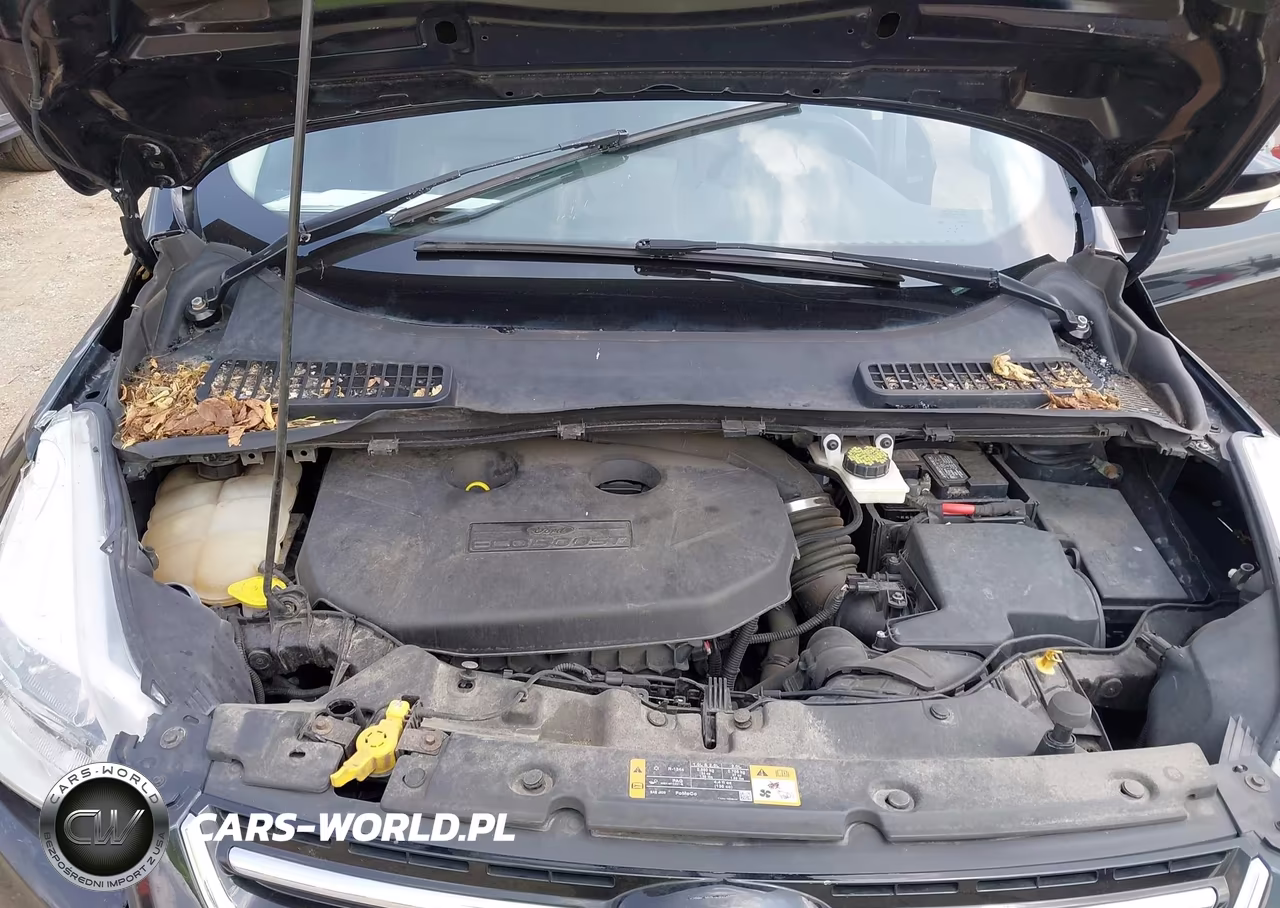 2013 Ford Escape Sel VIN:1FMCU9H96DUB79180 - 10