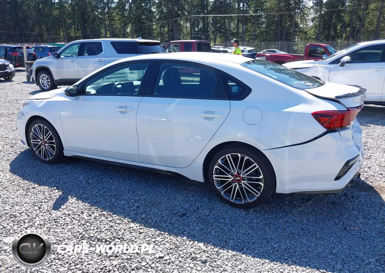 2021 Kia Forte Gt VIN:3KPF44AC6ME412905 - 14