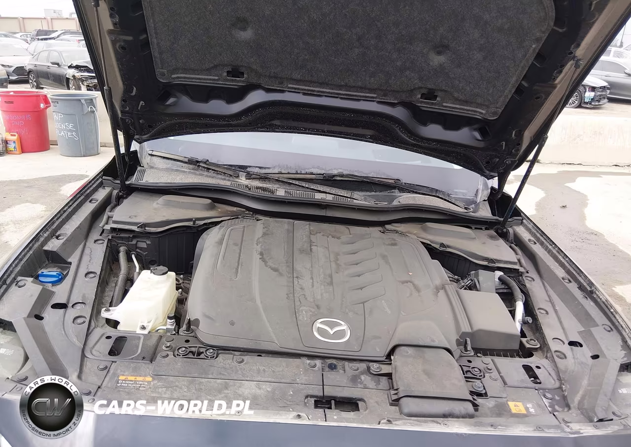 2024 Mazda Cx-90 3.3 Turbo Preferred Plus VIN:JM3KKCHD1R1104295 - 10
