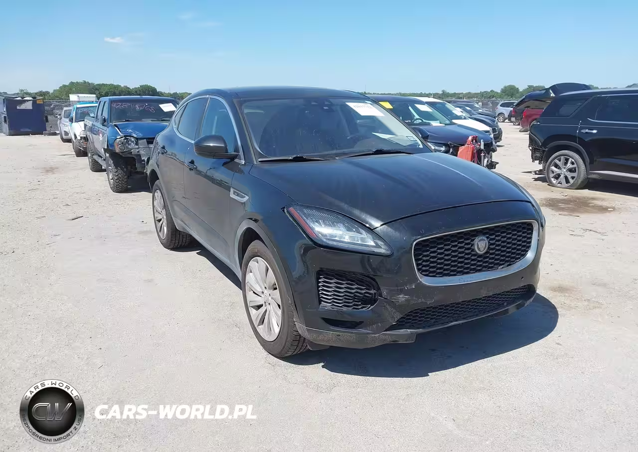 JAGUAR
