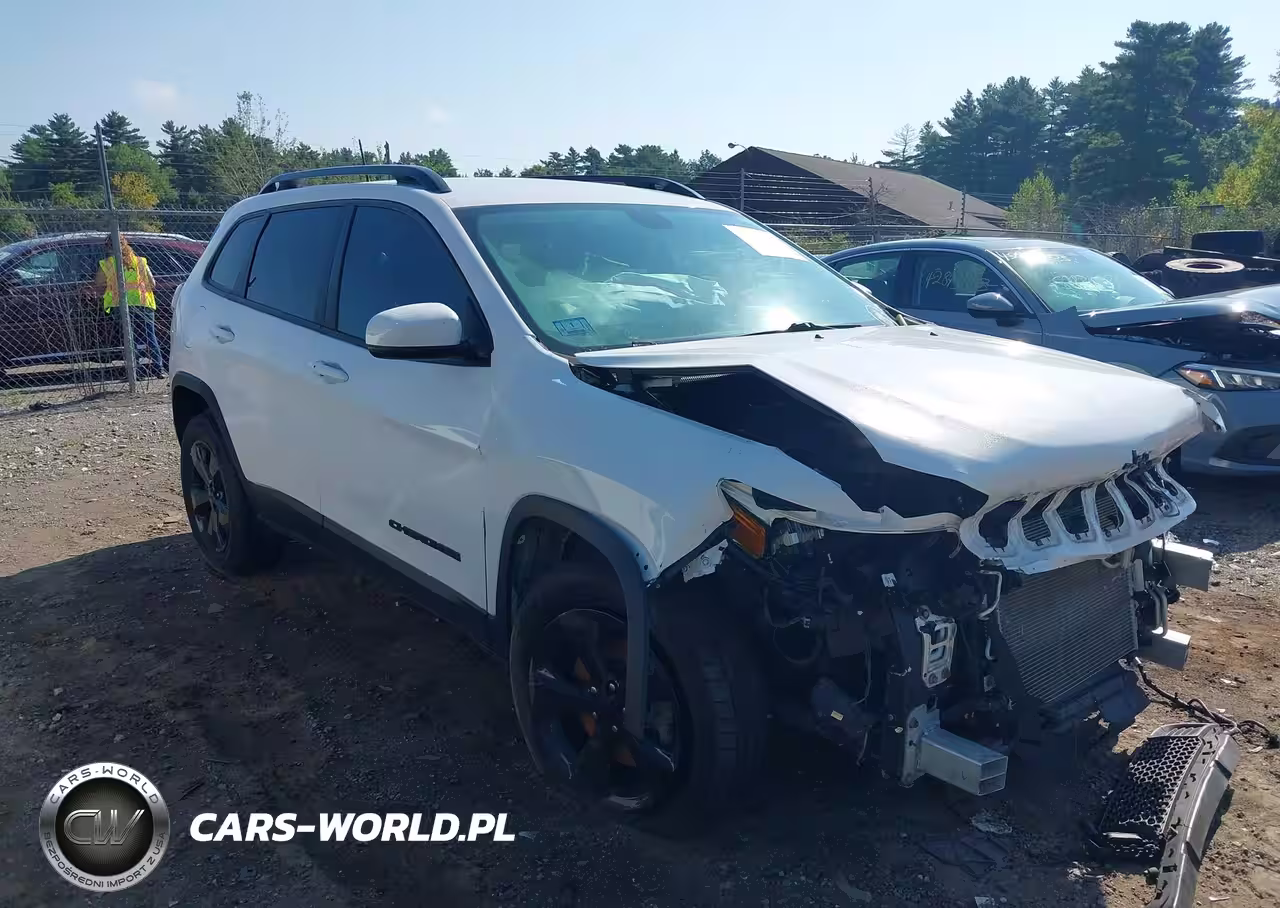 2019 Jeep Cherokee Altitude 4X4