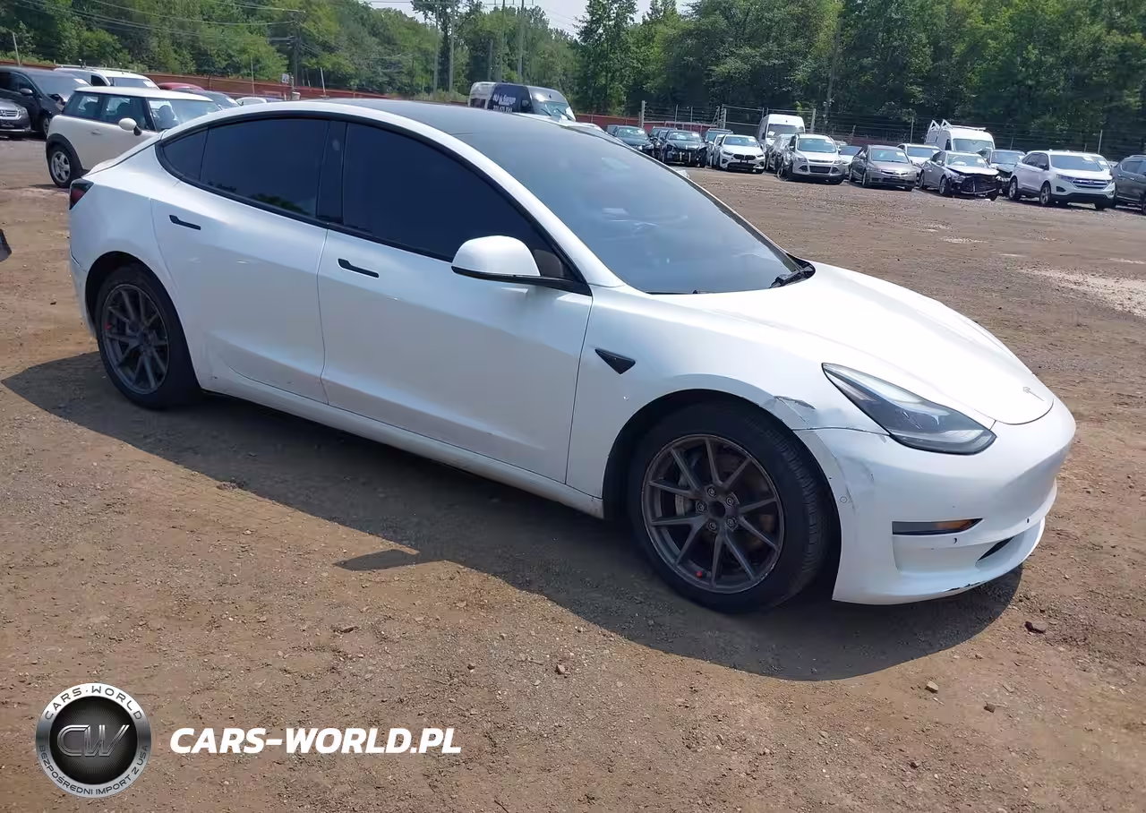 2022 Tesla Model 3 Rear-Wheel Drive