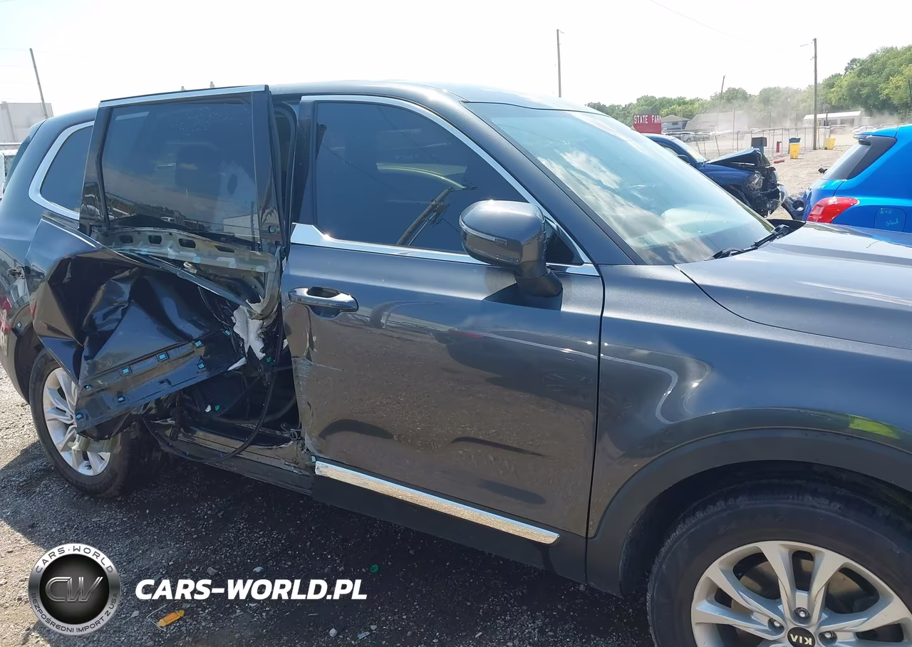2020 Kia Telluride Lx VIN:5XYP24HC2LG016035 - 13