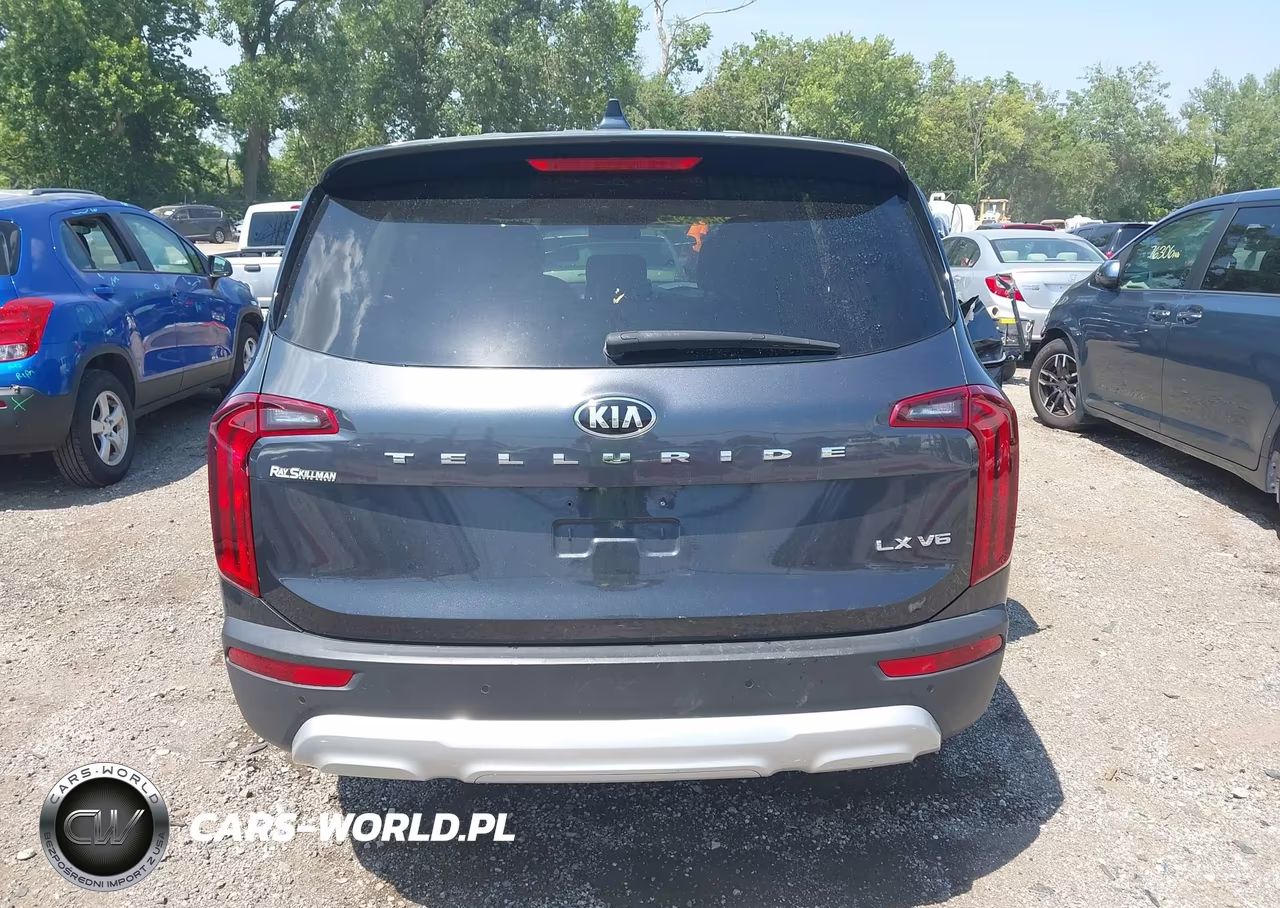 2020 Kia Telluride Lx VIN:5XYP24HC2LG016035 - 16