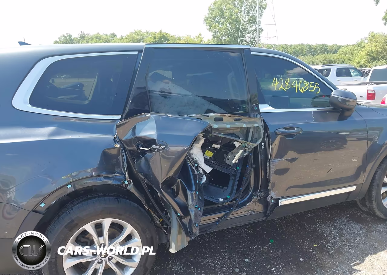 2020 Kia Telluride Lx VIN:5XYP24HC2LG016035 - 6