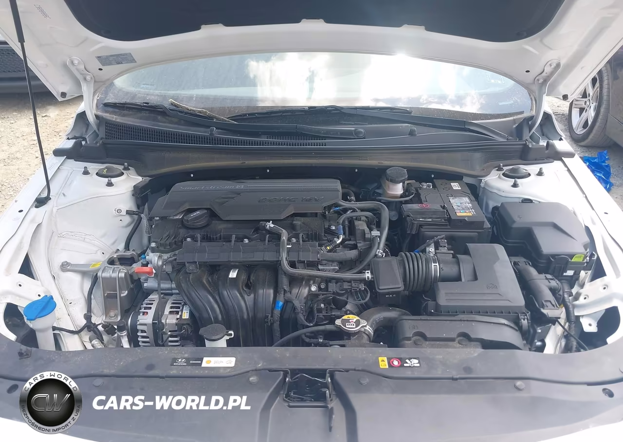 2024 Hyundai Elantra Sel VIN:KMHLS4DG2RU665943 - 10