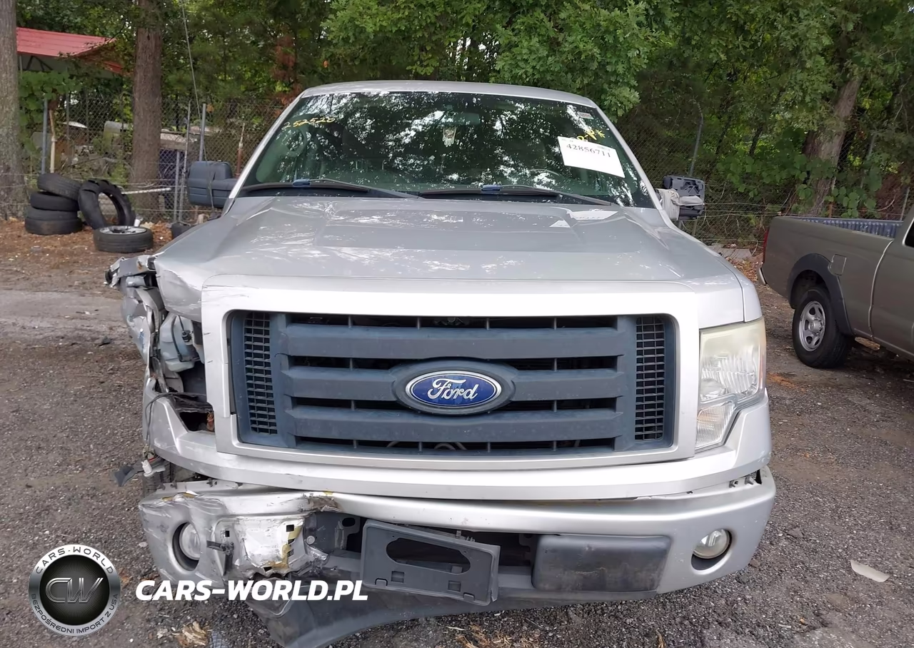 2010 Ford F-150 Stx-Xl-Xlt VIN:1FTMF1CW5AKB84069 - 12