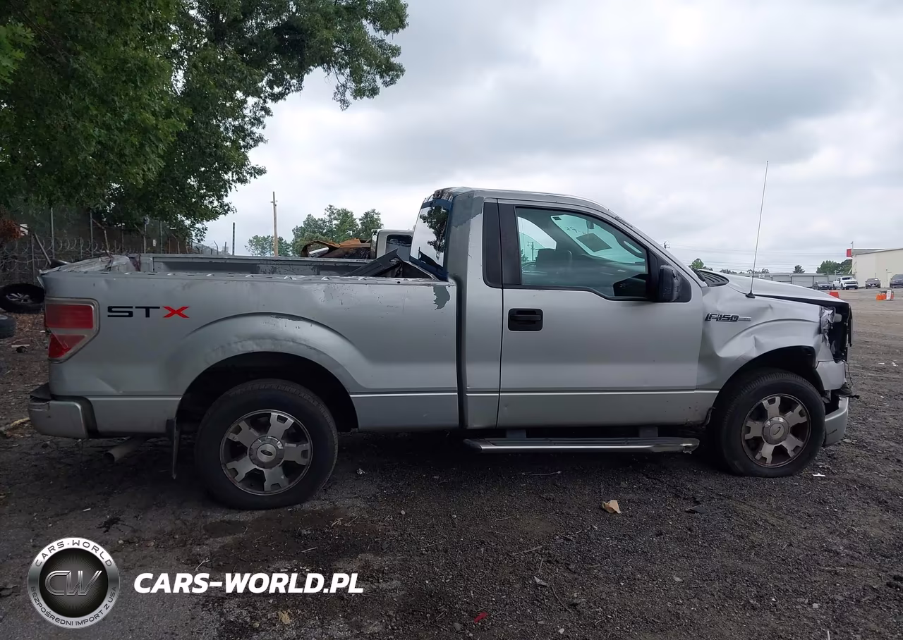 2010 Ford F-150 Stx-Xl-Xlt VIN:1FTMF1CW5AKB84069 - 13