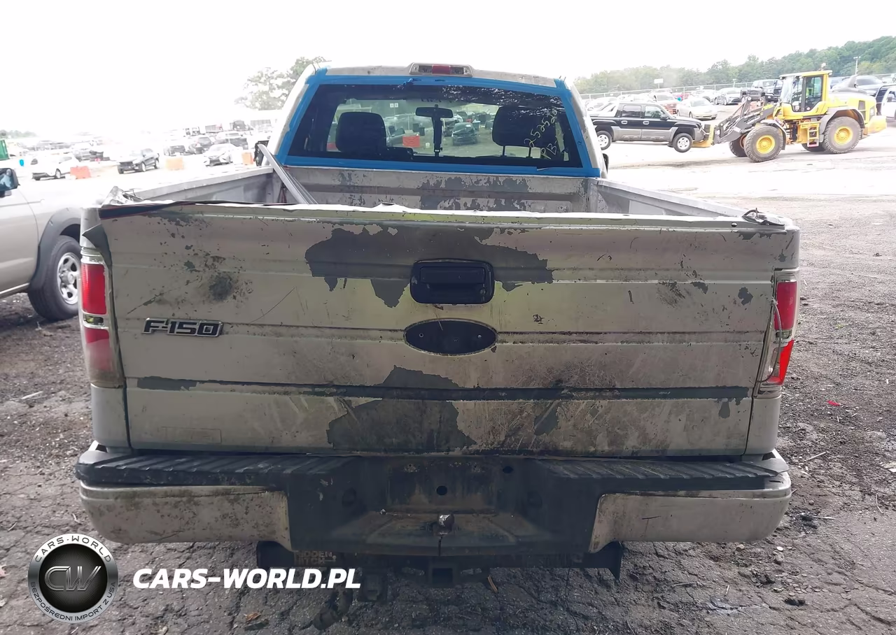 2010 Ford F-150 Stx-Xl-Xlt VIN:1FTMF1CW5AKB84069 - 16