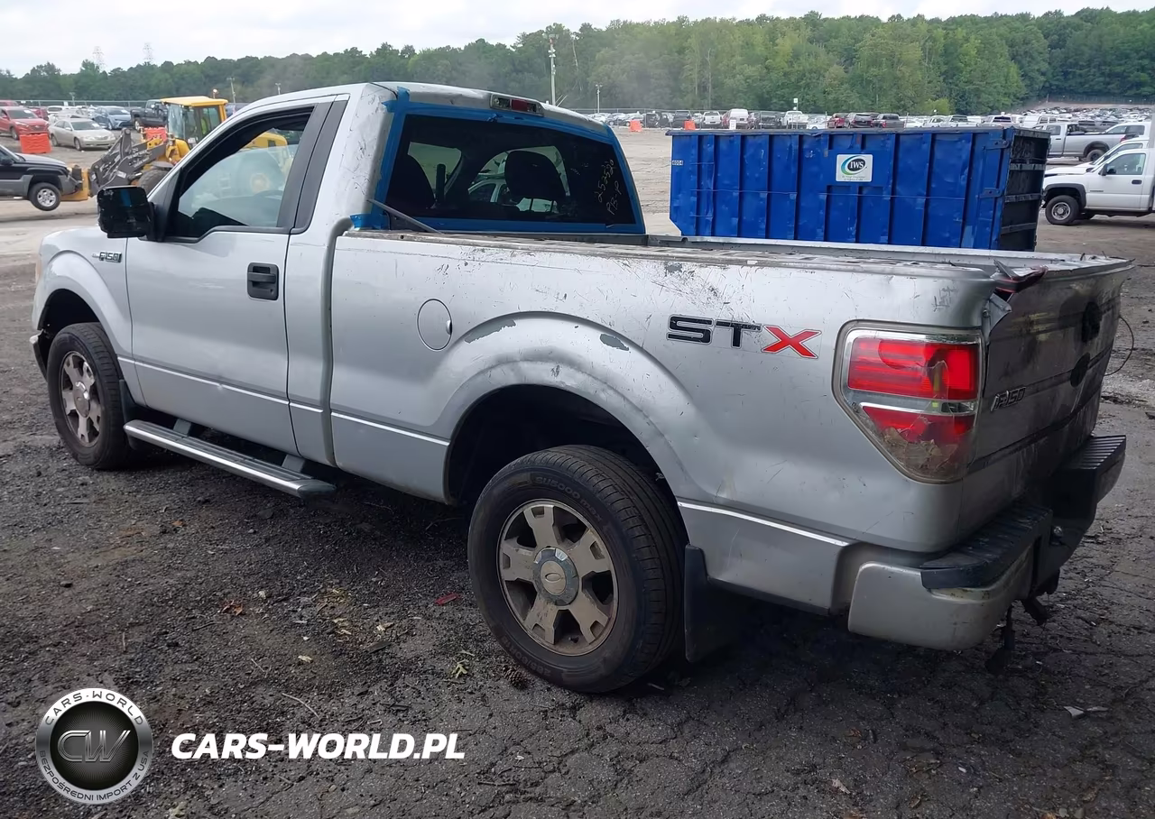 2010 Ford F-150 Stx-Xl-Xlt VIN:1FTMF1CW5AKB84069 - 3