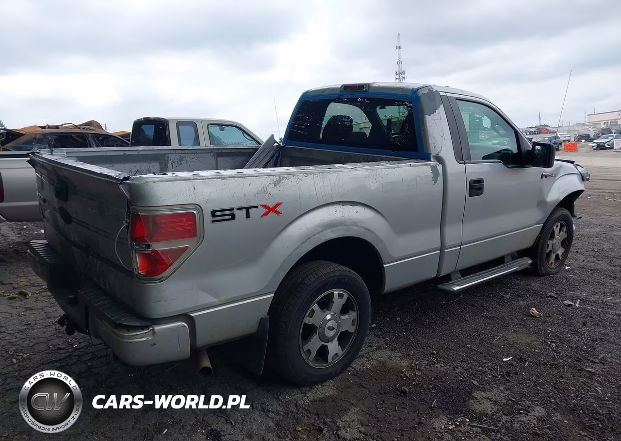 2010 Ford F-150 Stx-Xl-Xlt VIN:1FTMF1CW5AKB84069 - 4