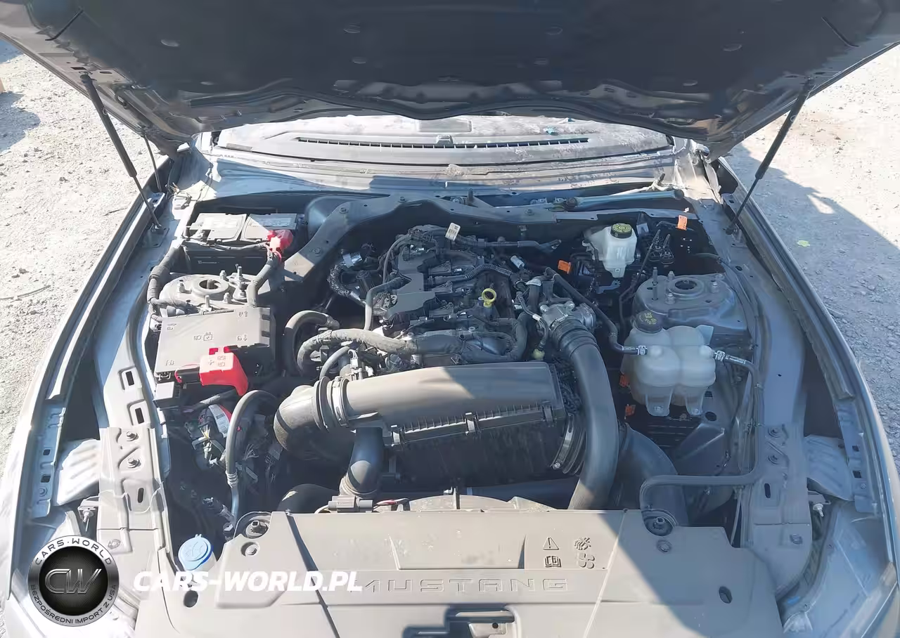 2024 Ford Mustang Ecoboost Fastback VIN:1FA6P8TH6R5112247 - 10