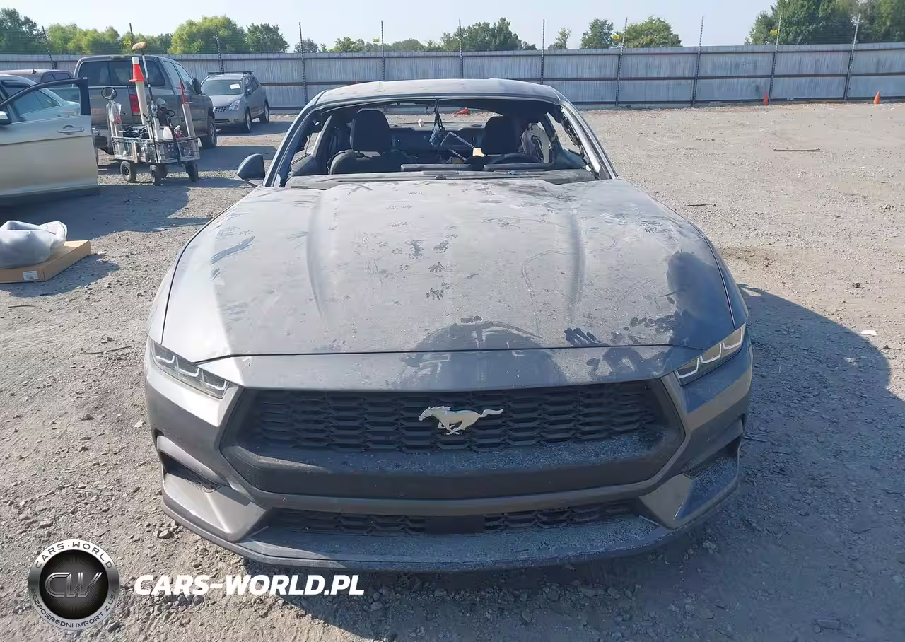 2024 Ford Mustang Ecoboost Fastback VIN:1FA6P8TH6R5112247 - 13