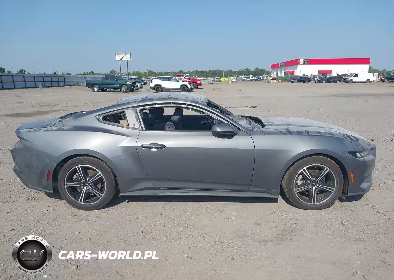 2024 Ford Mustang Ecoboost Fastback VIN:1FA6P8TH6R5112247 - 14
