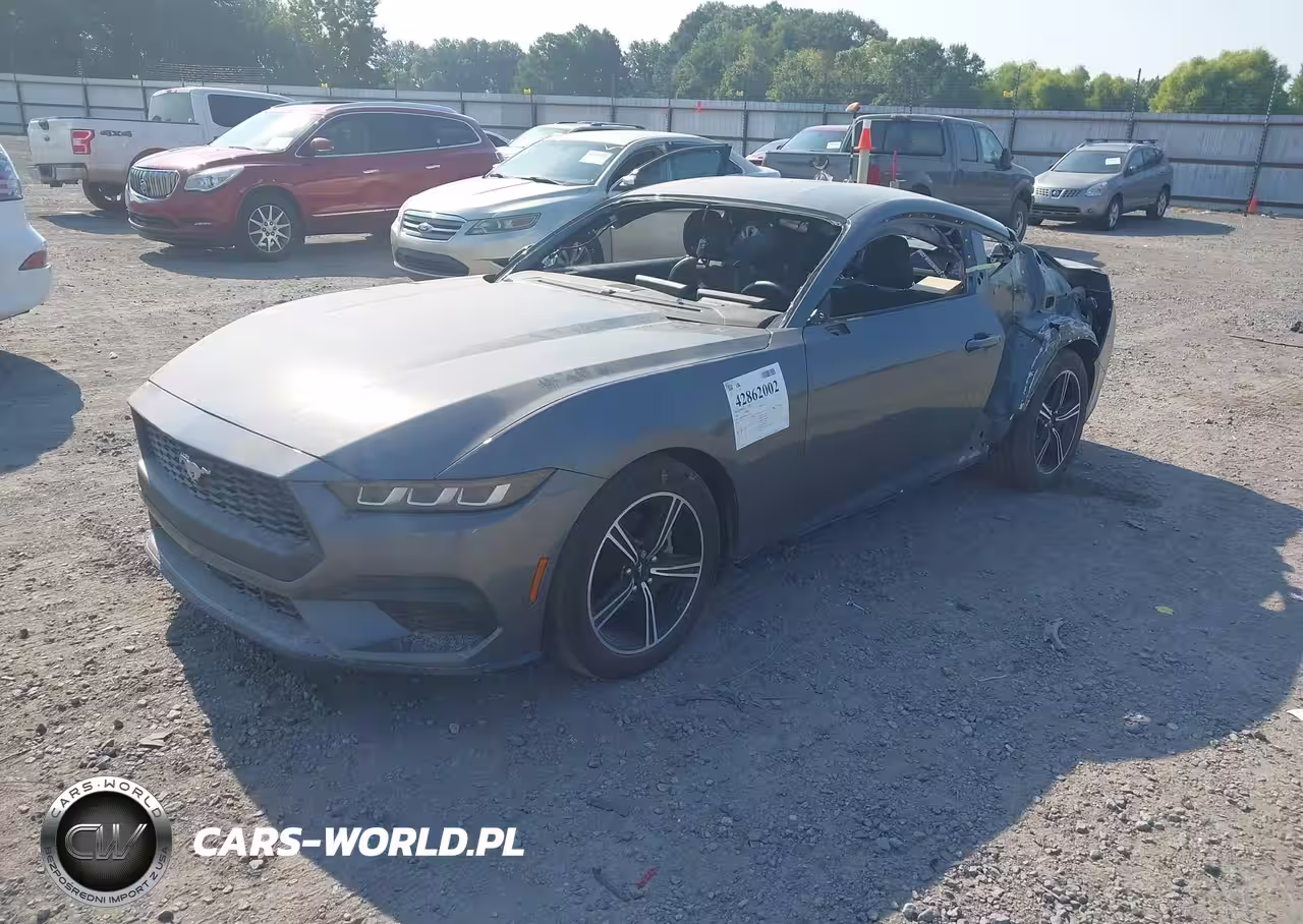 2024 Ford Mustang Ecoboost Fastback VIN:1FA6P8TH6R5112247 - 2