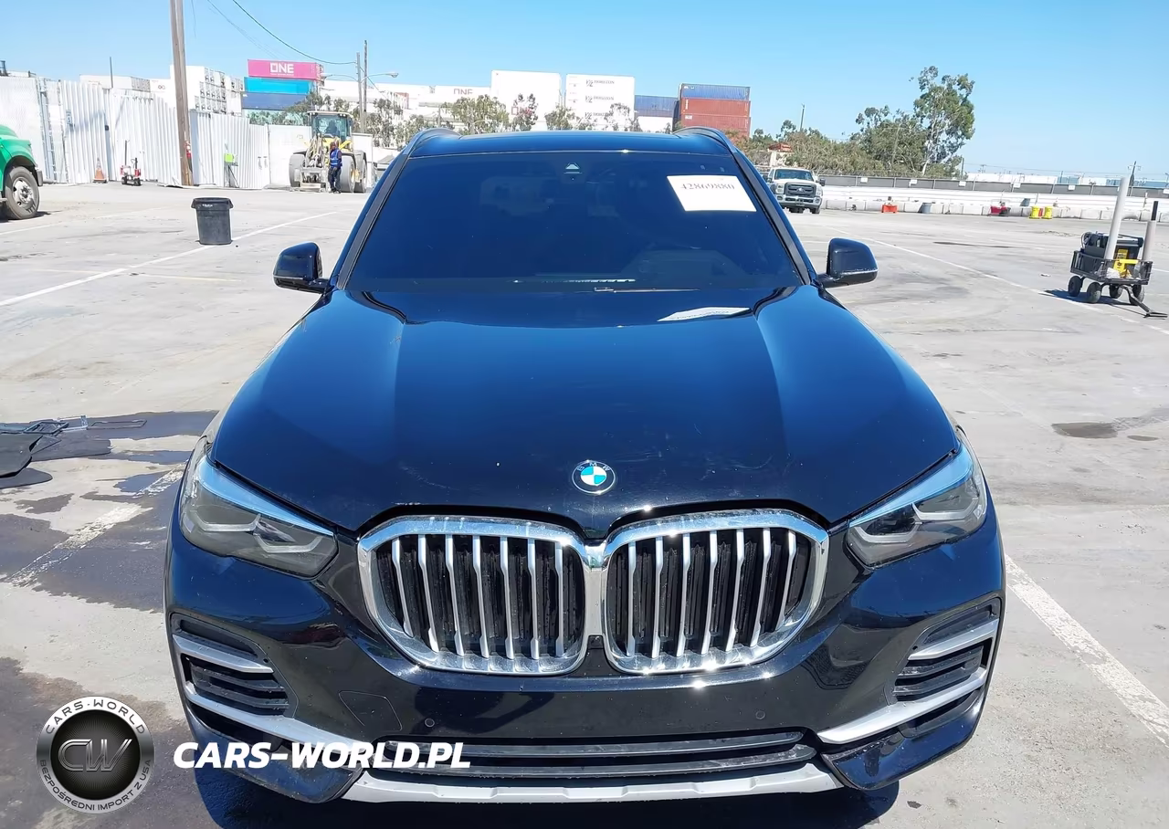 2023 BMW X5 Sdrive40I VIN:5UXCR4C00P9P30405 - 12