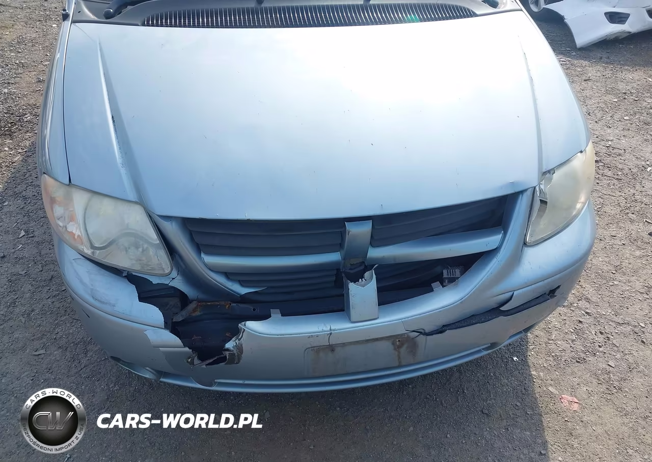 2006 Dodge Grand Caravan Sxt VIN:2D8GP44L66R670013 - 6