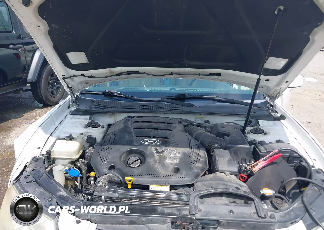 2009 Hyundai Sonata Limited V6 VIN:5NPEU46F79H429777 - 10
