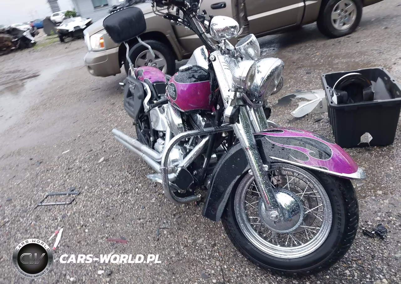 2006 Harley-Davidson Flstci