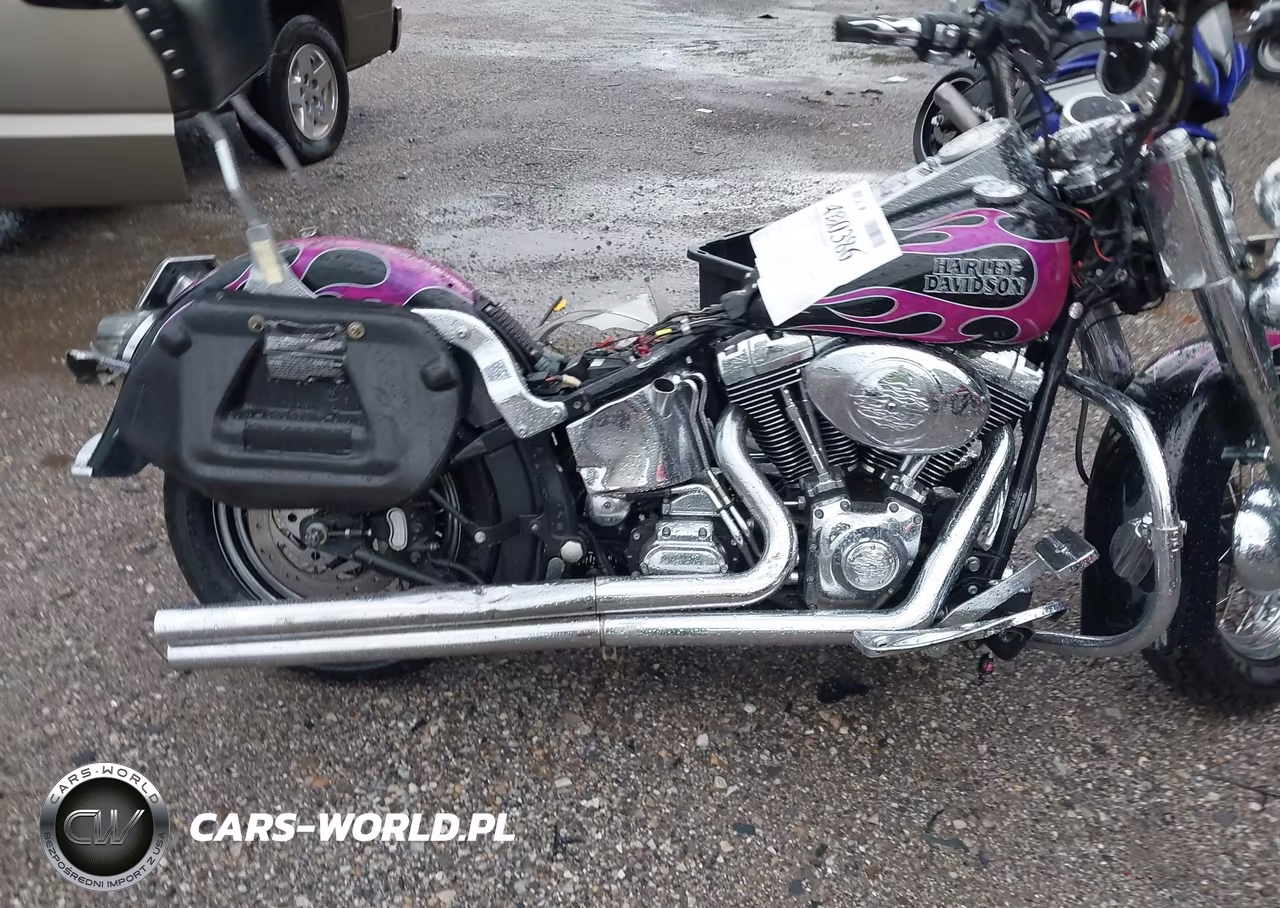 2006 Harley-Davidson Flstci VIN:1HD1BWB156Y094750 - 12