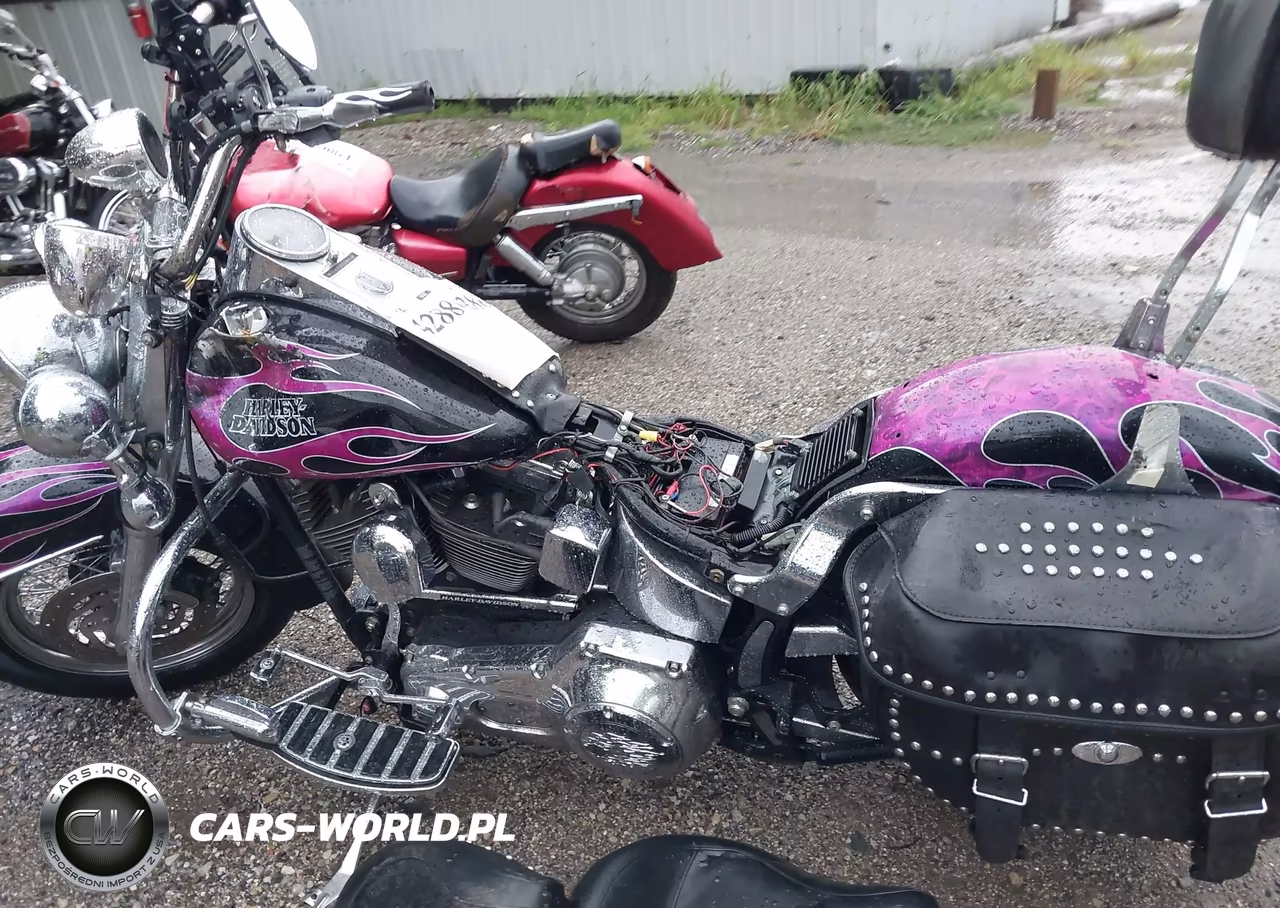2006 Harley-Davidson Flstci VIN:1HD1BWB156Y094750 - 13