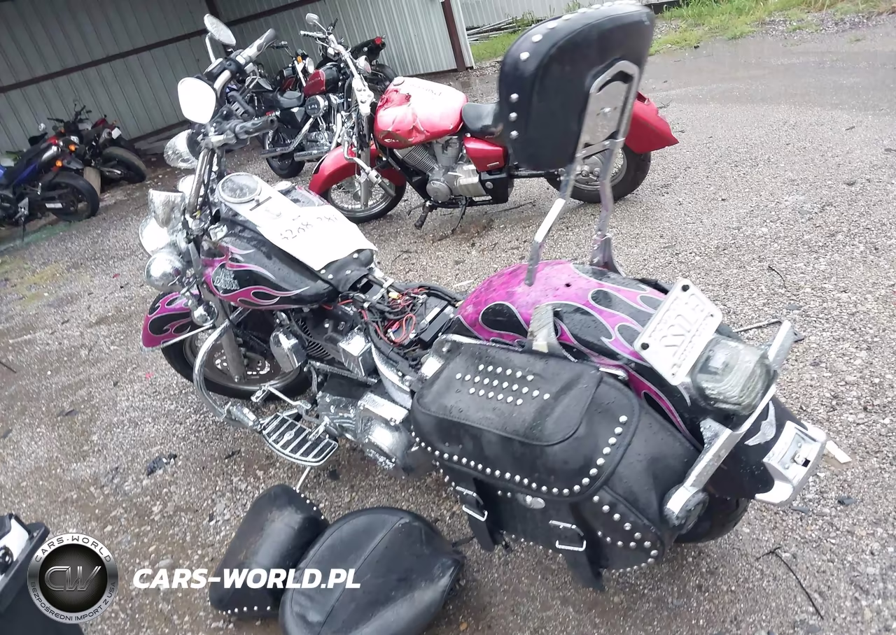 2006 Harley-Davidson Flstci VIN:1HD1BWB156Y094750 - 3