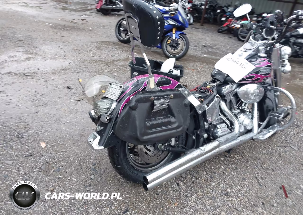 2006 Harley-Davidson Flstci VIN:1HD1BWB156Y094750 - 4