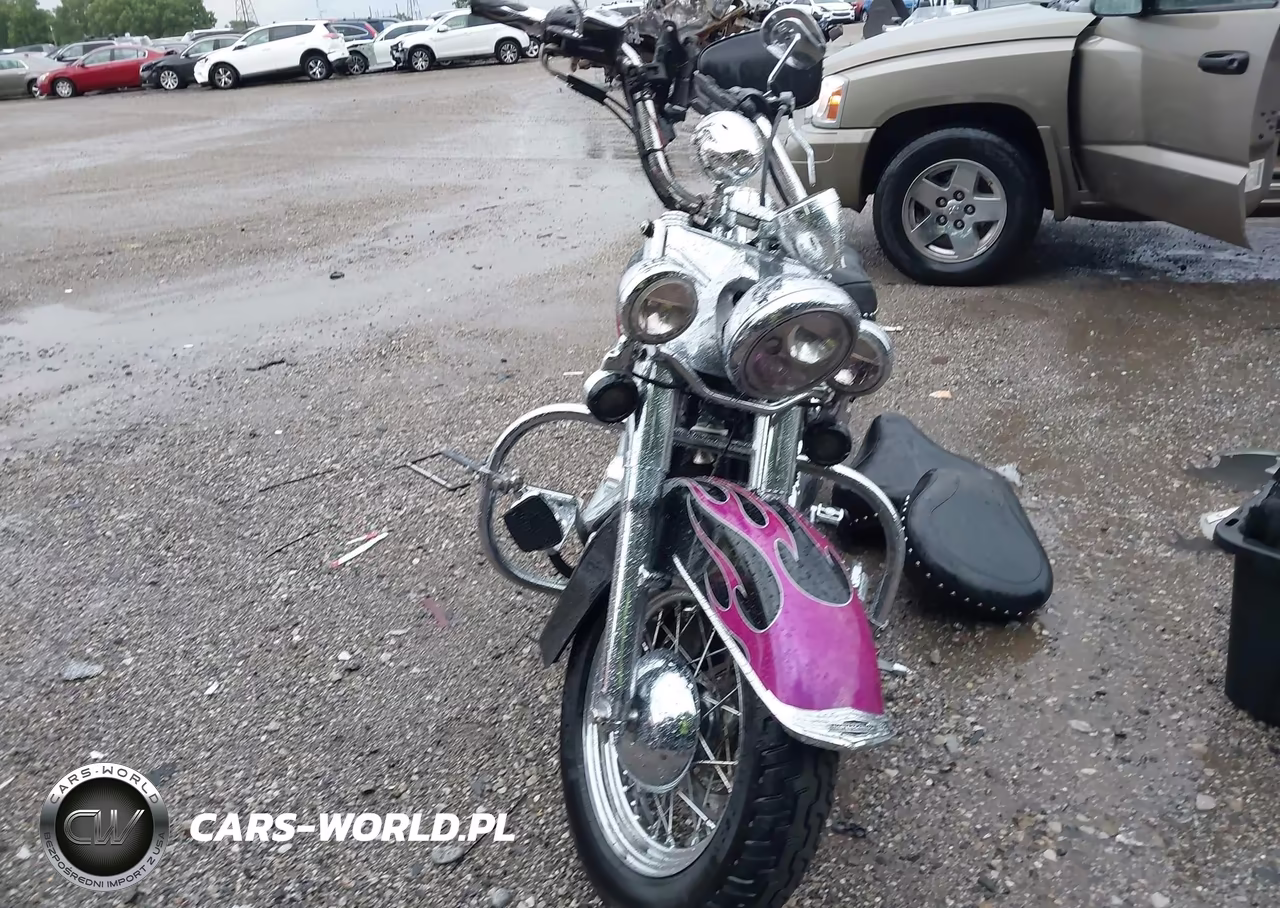 2006 Harley-Davidson Flstci VIN:1HD1BWB156Y094750 - 5