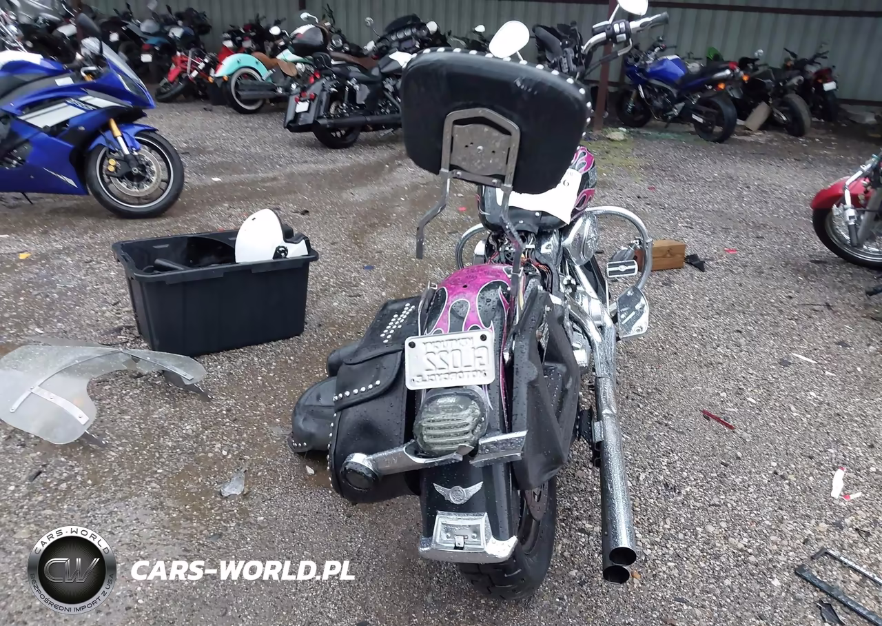 2006 Harley-Davidson Flstci VIN:1HD1BWB156Y094750 - 6