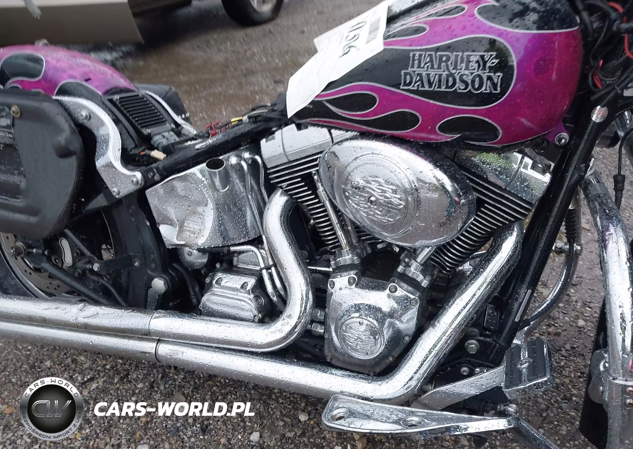2006 Harley-Davidson Flstci VIN:1HD1BWB156Y094750 - 8