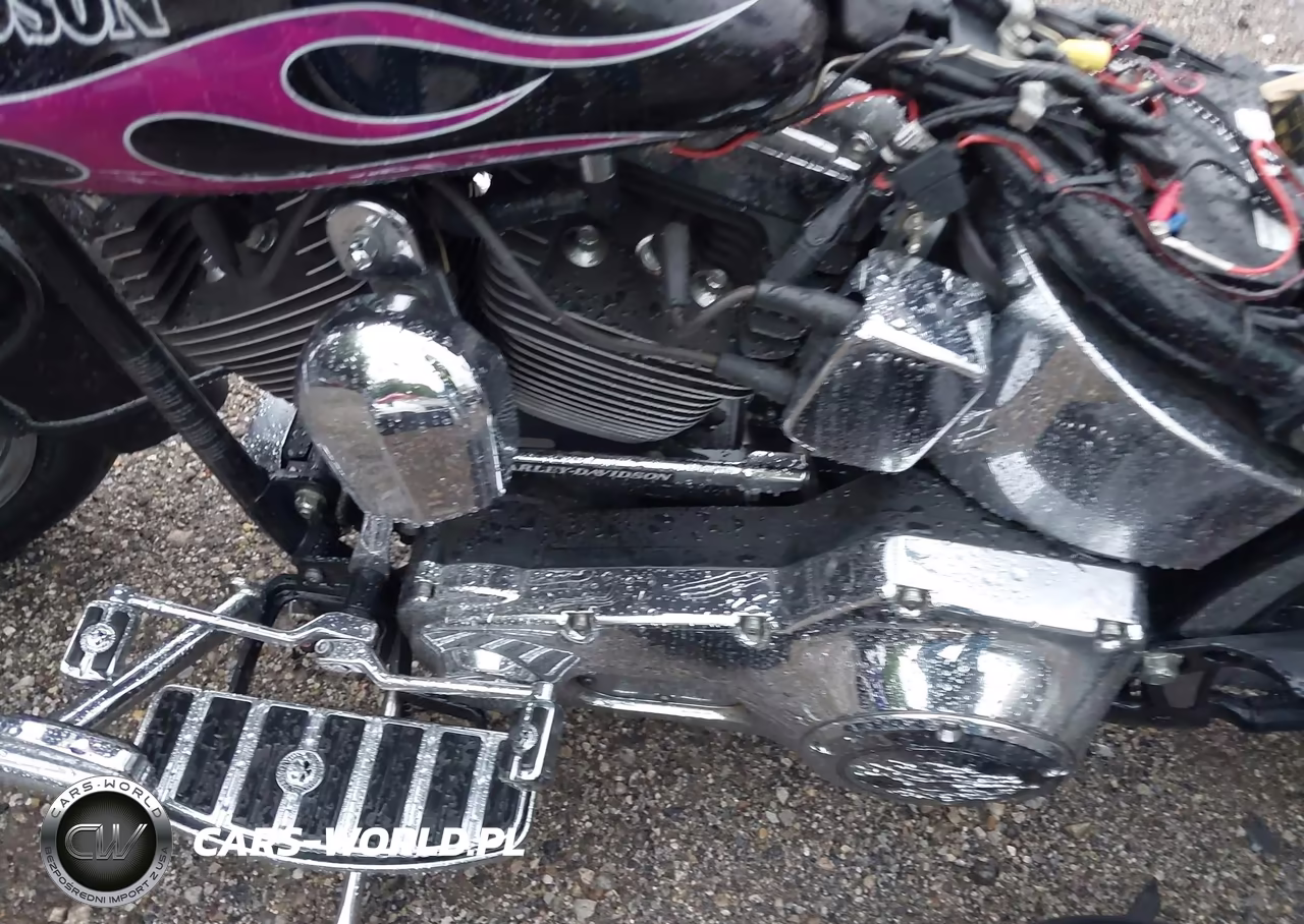 2006 Harley-Davidson Flstci VIN:1HD1BWB156Y094750 - 9