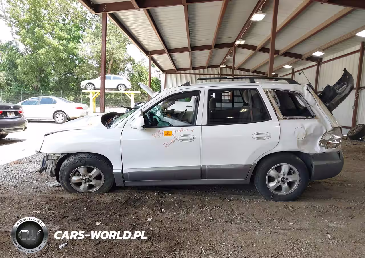 2005 Hyundai Santa Fe Gls VIN:KM8SC13D25U962252 - 13