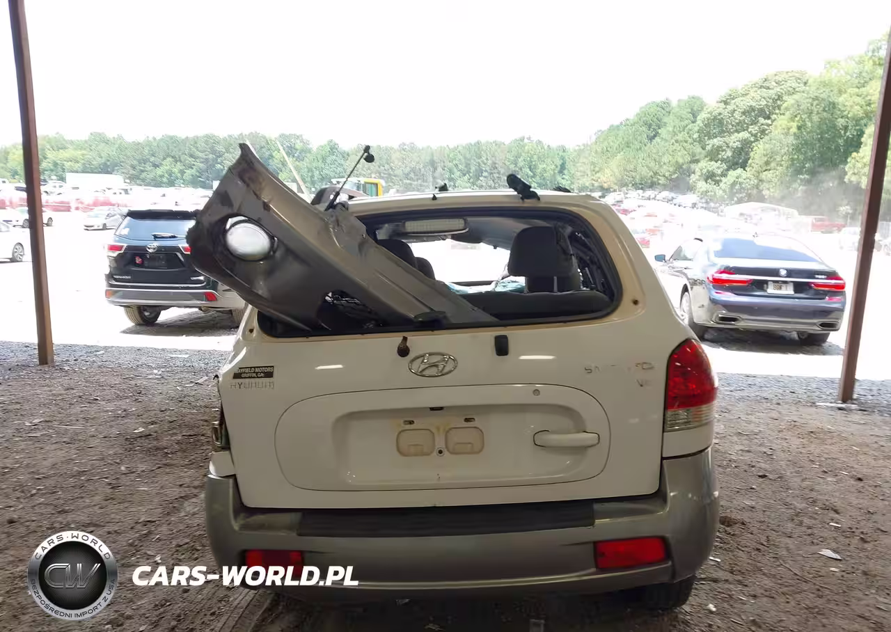 2005 Hyundai Santa Fe Gls VIN:KM8SC13D25U962252 - 15