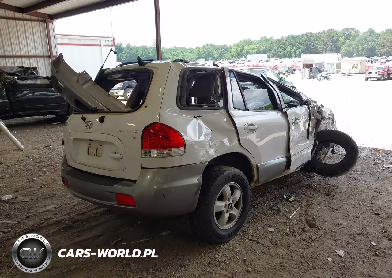 2005 Hyundai Santa Fe Gls VIN:KM8SC13D25U962252 - 4