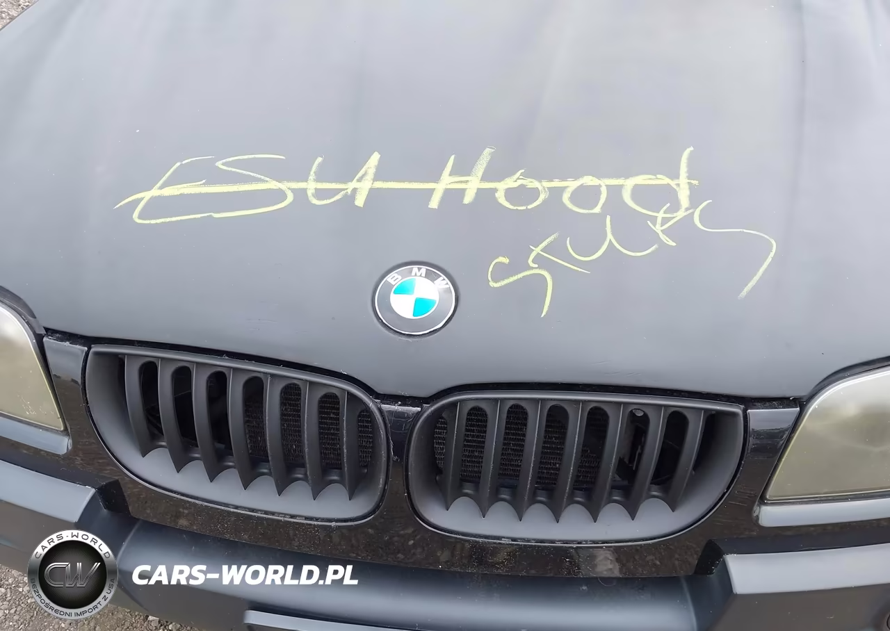 2006 BMW X3 3.0I VIN:WBXPA93476WG91327 - 10