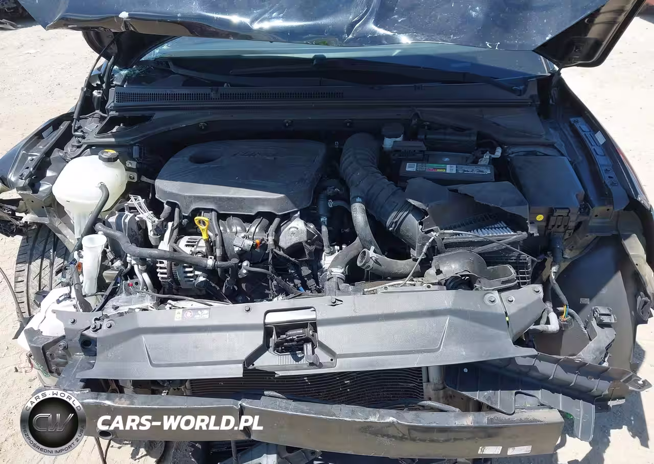 2019 Hyundai Veloster Turbo R-Spec VIN:KMHTH6AB1KU009399 - 10