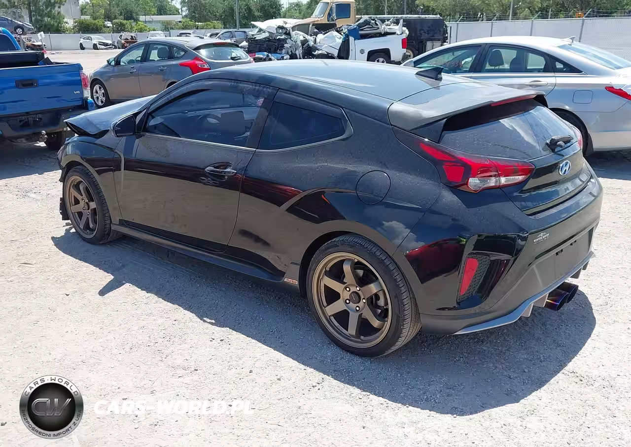 2019 Hyundai Veloster Turbo R-Spec VIN:KMHTH6AB1KU009399 - 3